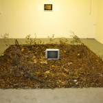 Austin Exhibition at Co-Lab