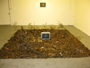 Austin Exhibition at Co-Lab