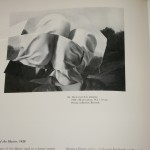 Tag 48 Tag 48