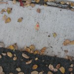 Leaf # 4 On 11/29/2010 @ 4:55 PM leaf # 4 is still located outside my office door (still conditions)