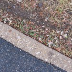 Leaf # 5 Vanished On 12/29/2010 @ 11:05 AM I could not find leaf # 5