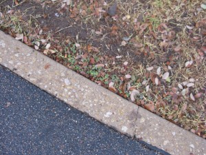 On 12/29/2010 @ 11:05 AM I could not find leaf # 5