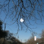 On the Surface of Things (1/6/12) Sara talks about the moment she realized that she was simply living on the surface of things. This portion of the story is located on a rubber cord attached to a tree at 200 W. Annie St. 1 Block West of the 1800 Block of South Congress.