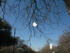 (1/6/12) Sara talks about the moment she realized that she was simply living on the surface of things. This portion of the story is located on a rubber cord attached to a tree at 200 W. Annie St. 1 Block West of the 1800 Block of South Congress.
