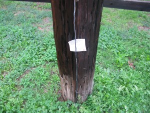 (02/04/2012) Es asks a person who crosses his path a question.